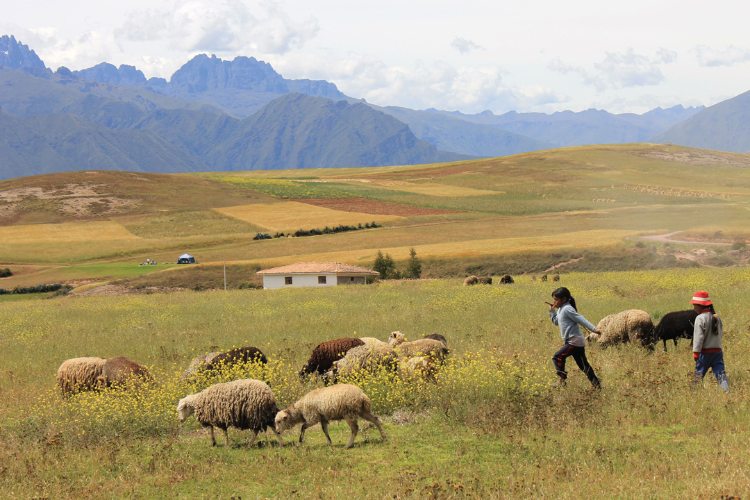 Peru
